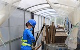 Cải thiện môi trường nhờ 