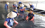 Công nhân dầm mình dưới bùn làm sạch sông Tô Lịch