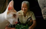 Cảm xúc Hà Nội qua góc nhìn 