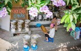Cảm xúc Hà Nội qua góc nhìn 