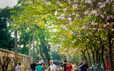Cảm xúc Hà Nội qua góc nhìn 