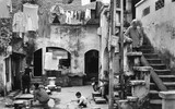 Cảm xúc Hà Nội qua góc nhìn 