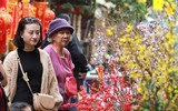 Sắc xuân trên phố phường Hà Nội