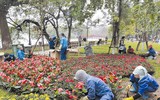 Sắc xuân trên phố phường Hà Nội