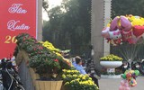 Sắc xuân trên phố phường Hà Nội