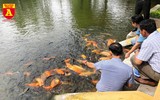 Thăm khu di tích nhà sàn Bác Hồ ở Hà Nội
