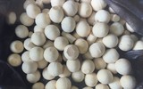 Cận cảnh số lượng lớn ngà voi giả được cán bộ Hải quan đánh tráo