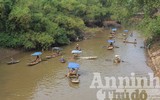 Hà Nội: Cả làng xuống sông đánh dậm