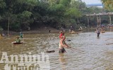 Hà Nội: Cả làng xuống sông đánh dậm