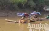 Hà Nội: Cả làng xuống sông đánh dậm