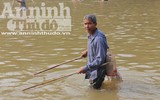 Hà Nội: Cả làng xuống sông đánh dậm