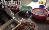 Cận cảnh quá trình bơm tạp chất vào tôm ở Hà Nội