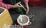 Cận cảnh quá trình bơm tạp chất vào tôm ở Hà Nội