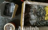 Cận cảnh quá trình bơm tạp chất vào tôm ở Hà Nội