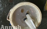 Cận cảnh quá trình bơm tạp chất vào tôm ở Hà Nội