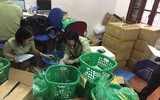 Cận cảnh gần 1.600 sản phẩm đông dược không rõ nguồn gốc