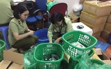 Cận cảnh gần 1.600 sản phẩm đông dược không rõ nguồn gốc