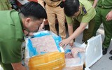 Cận cảnh hơn 10 tấn nầm lợn 