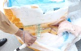 Cận cảnh hơn 10 tấn nầm lợn 