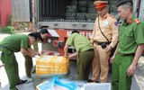 Cận cảnh hơn 10 tấn nầm lợn 