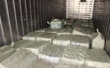 Cận cảnh hơn 10 tấn nầm lợn 