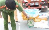 Cận cảnh hơn 10 tấn nầm lợn 