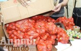 Bí ẩn bên trong những bọc khăn mặt