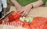 Bí ẩn bên trong những bọc khăn mặt