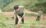 Tuổi trẻ Công an Thủ đô tham gia trồng 10.000 cây xanh ở mảnh đất dữ