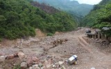 Tuổi trẻ Công an Thủ đô tham gia trồng 10.000 cây xanh ở mảnh đất dữ