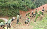 Tuổi trẻ Công an Thủ đô tham gia trồng 10.000 cây xanh ở mảnh đất dữ