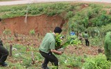 Tuổi trẻ Công an Thủ đô tham gia trồng 10.000 cây xanh ở mảnh đất dữ