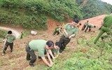 Tuổi trẻ Công an Thủ đô tham gia trồng 10.000 cây xanh ở mảnh đất dữ