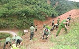 Tuổi trẻ Công an Thủ đô tham gia trồng 10.000 cây xanh ở mảnh đất dữ