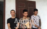 Cận cảnh số dao, kiếm 