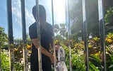 [Ảnh] Toàn cảnh vụ cướp giật tại hiệu vàng, đâm thấu ngực người truy đuổi