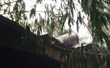 [Ảnh] Cận cảnh hiện trường vụ cháy kho hóa chất ở quận Long Biên