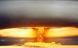 Điều ít biết về cây nấm 