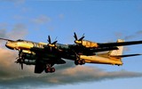 Tu-95 