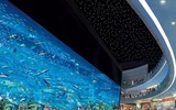 Ngồi ăn xin kiếm tiền khủng ở nơi dễ kiếm tiền nhất thế giới
