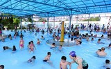Phụ huynh toàn thế giới hoang mang vì sự ra đi đột ngột của bé trai 4 tuổi