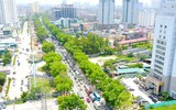 Vẻ đẹp hút hồn của những hàng cây xanh rợp bóng bên đường Hà Nội