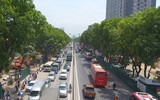 Vẻ đẹp hút hồn của những hàng cây xanh rợp bóng bên đường Hà Nội