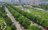 Vẻ đẹp hút hồn của những hàng cây xanh rợp bóng bên đường Hà Nội