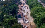 Vẻ đẹp hút hồn của những hàng cây xanh rợp bóng bên đường Hà Nội