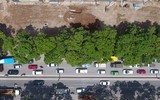 Vẻ đẹp hút hồn của những hàng cây xanh rợp bóng bên đường Hà Nội