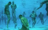 Đặc nhiệm SEAL Team 6 - 