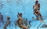 Đặc nhiệm SEAL Team 6 - 