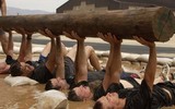 Đặc nhiệm SEAL Team 6 - 