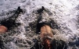 Đặc nhiệm SEAL Team 6 - 
